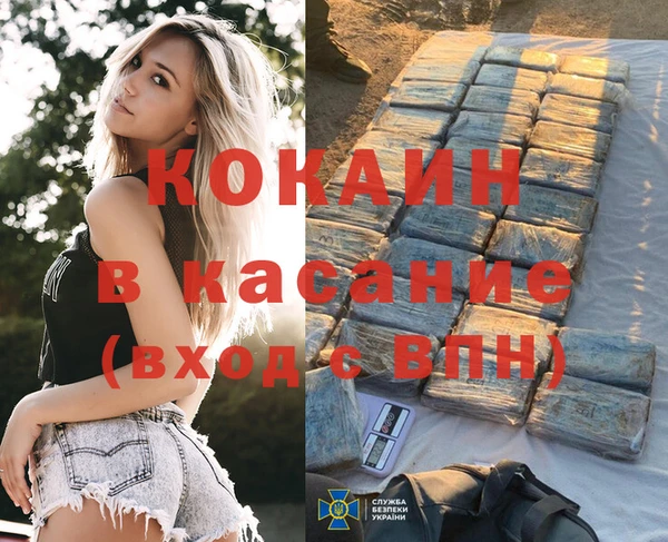 мяу мяу мука Баксан