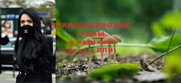 мяу мяу мука Балахна